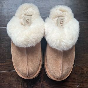 Ugg Disquette slipper new without tags